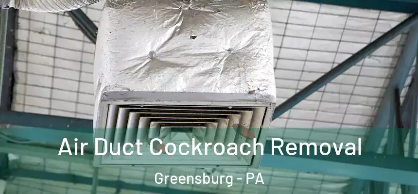  Air Duct Cockroach Removal Greensburg - PA