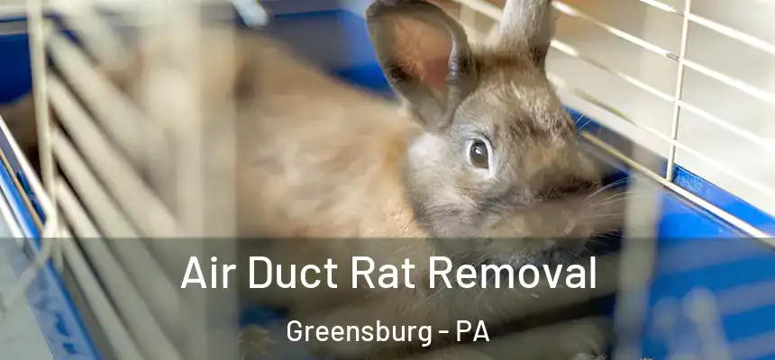  Air Duct Rat Removal Greensburg - PA