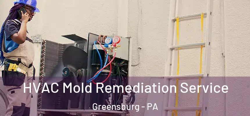  HVAC Mold Remediation Service Greensburg - PA