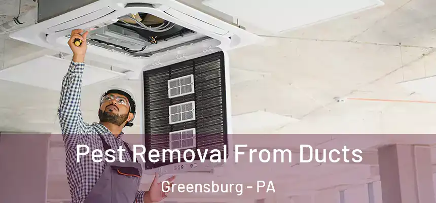  Pest Removal From Ducts Greensburg - PA