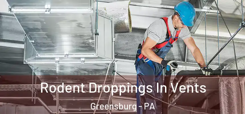  Rodent Droppings In Vents Greensburg - PA