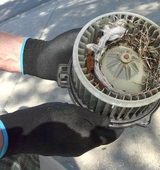 About Air Duct Rat Removal in Greensburg, PA