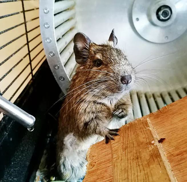 Why Homeowners & Businesses Trust Us Greensburg, PA?